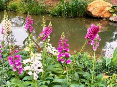 -人民公园(罗湖区)