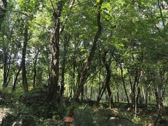 -玉女潭景区