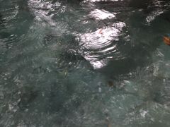 -青城道汤池