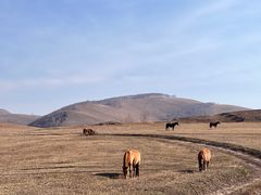 -塞罕坝国家级自然保护区