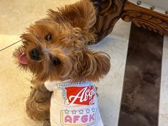 -萌宠主义宠物生活馆(金山路店)