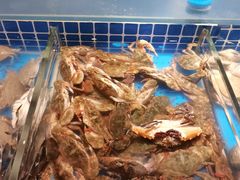 -加餐海鲜自助(集美银泰百货店)