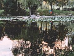 -郑东新区湿地公园