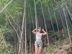 -藏龙百瀑风景区