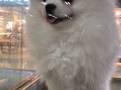 -乐宠宠物店(世纪金源店)