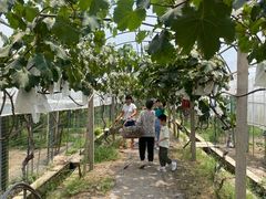 -美家乐农庄·露营·团建(大治路店)