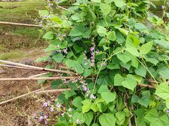 -西山人家·二十年老字号农家菜(旺山店)