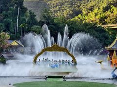 -西双版纳原始森林公园