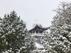 -西海子公园