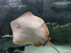 -珠海长隆海洋王国