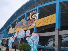 -泉城欧乐堡海洋极地世界