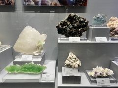 -湖南省地质博物馆