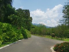 -中国科学院西双版纳热带植物园