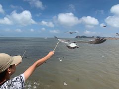 -海驴岛(荣成市)