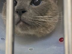 -康乐宝动物医院