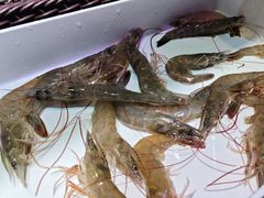 -尚品海鲜肥牛自助火锅(湖明店)