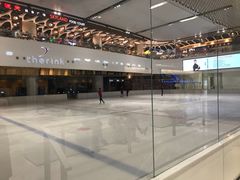 -TheRink大零溜冰场(IFS国金中心店)
