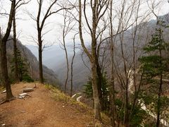 -牛背梁国家森林公园