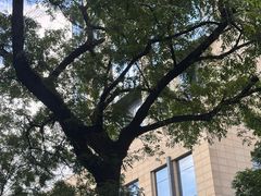 -黑皮酸菜鱼(三山街店)