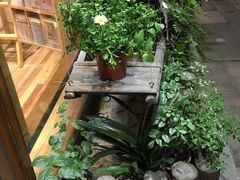 -猫的天空之城概念书店(杭州南宋御街店)