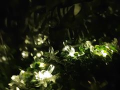 -樊笼真人密室逃脱(江南西店)