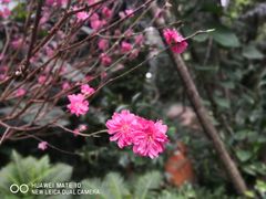 景点-广州珠江公园