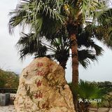 ##0元玩转这座城 
