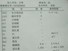 -上海天伦医院