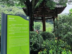-云溪植物园