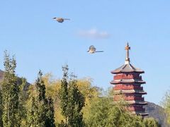 -北京雁栖湖国际会展中心