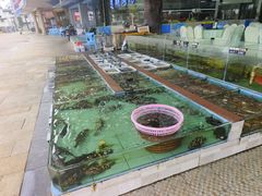 -景好海鲜餐厅(大鹏必选旅游店)