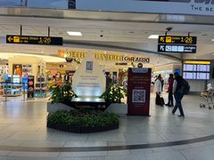 -英迪拉·甘地国际机场