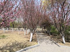 -济南国际园博园