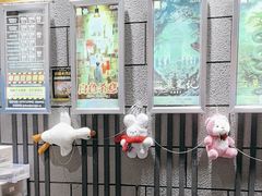 -bb boom运动闯关密室·聚会团建·家庭亲子(龙湖西溪天街店)