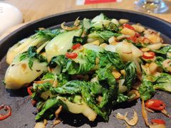 -小大董·烤鸭(五棵松店)