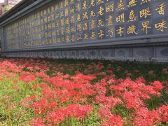 -西安大兴善寺