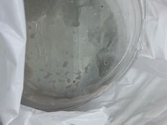 -仁信双皮奶(广州南站店)