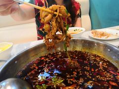 -麻辣巅峰美蛙鱼头火锅(犀浦店)