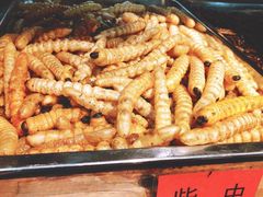-昆虫窝子·特色云南菜(拓东路总店)