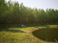 -蒲河岛湿地公园