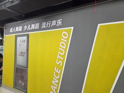 -欲非舞蹈