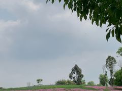 -白鹭湾湿地公园