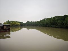 -大湾区中央湿地公园