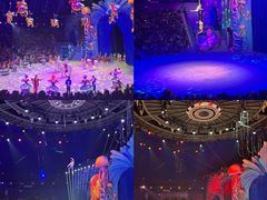 -海合安武汉极地海洋公园