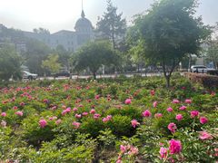 -吉林大学(前卫南区)