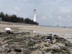 -红树林天天赶海