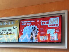 -帕帕拉兹宠物(亚洲旗舰店)