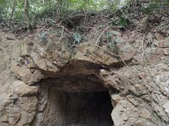 -上海佘山国家森林公园天马山园