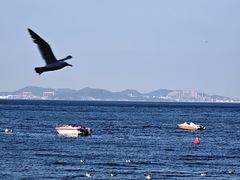 -棒棰岛宾馆景区