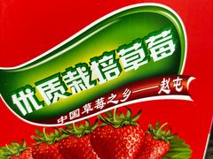 -小鱼草莓采摘园农家乐·小鱼餐厅